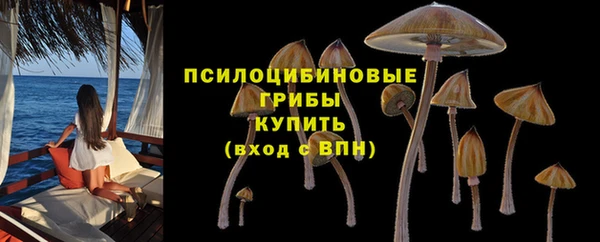 ALPHA-PVP Корсаков
